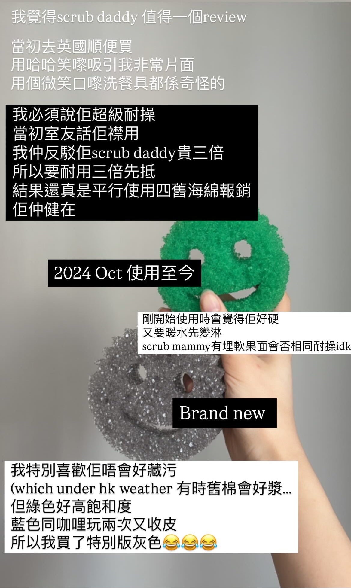 [退役可愛產品] 洗碗新高度 / 微笑薯仔BB / Dish Daddy