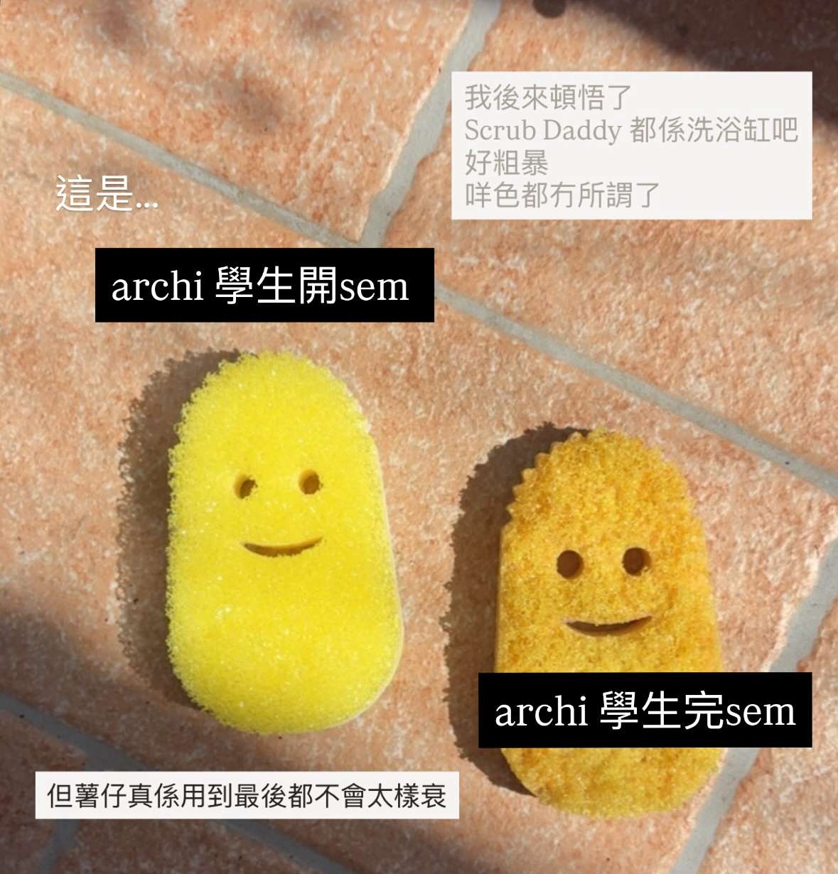 [退役可愛產品] 洗碗新高度 / 微笑薯仔BB / Dish Daddy