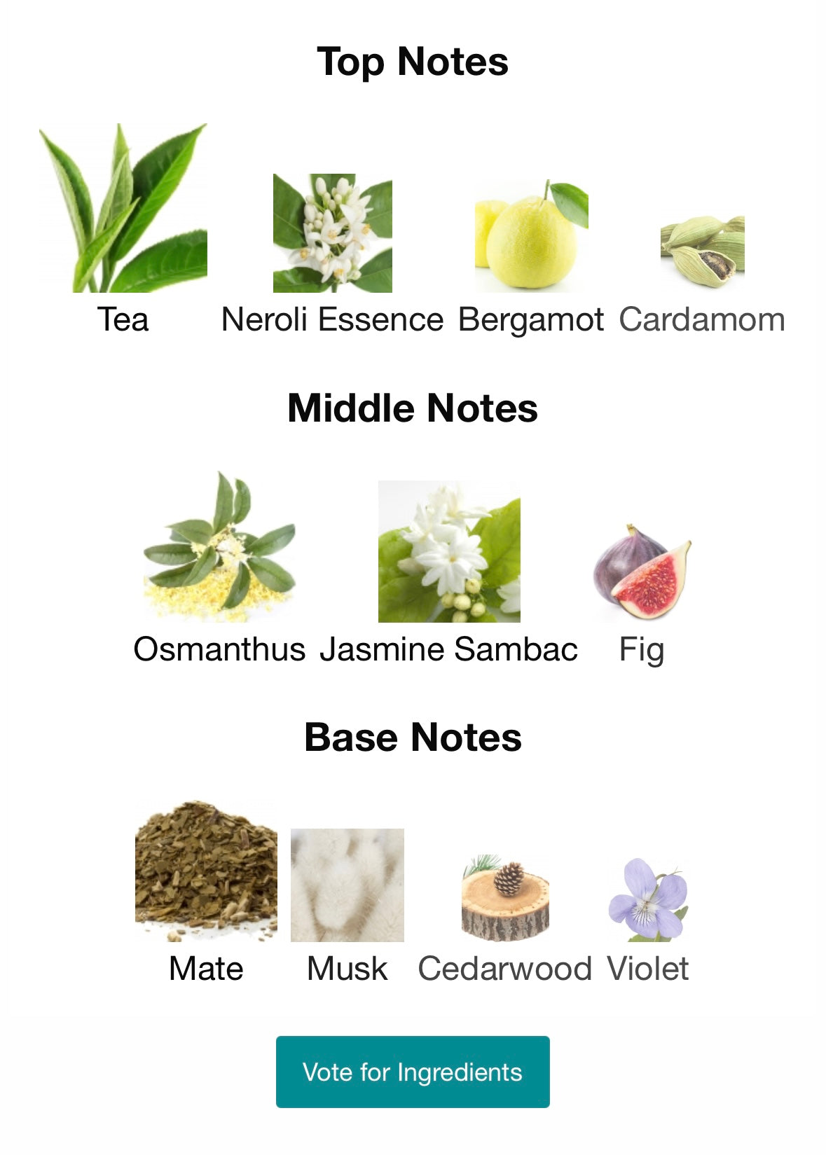 秋日真愛桂花馬黛茶 / Memo Paris / Inle EDP