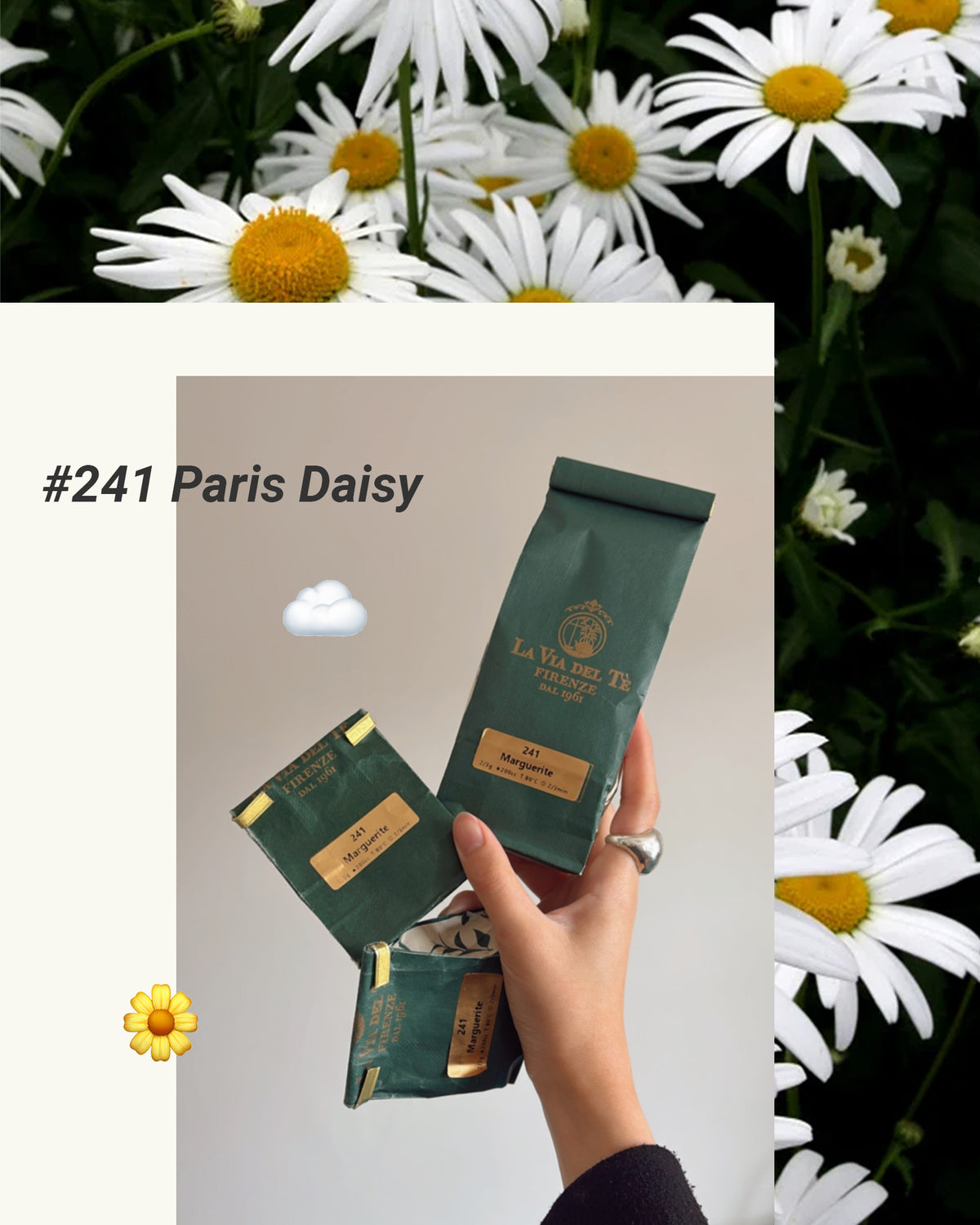 [pre-order] Florence 半百名茶 / La Via del Té
